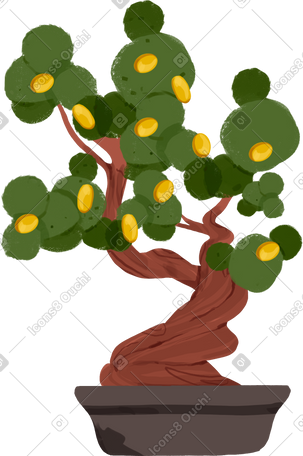 bonsai money tree PNG, SVG