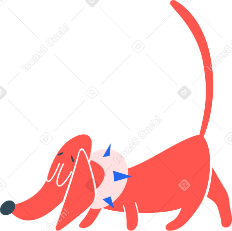 dog in clothes Illustration in PNG, SVG