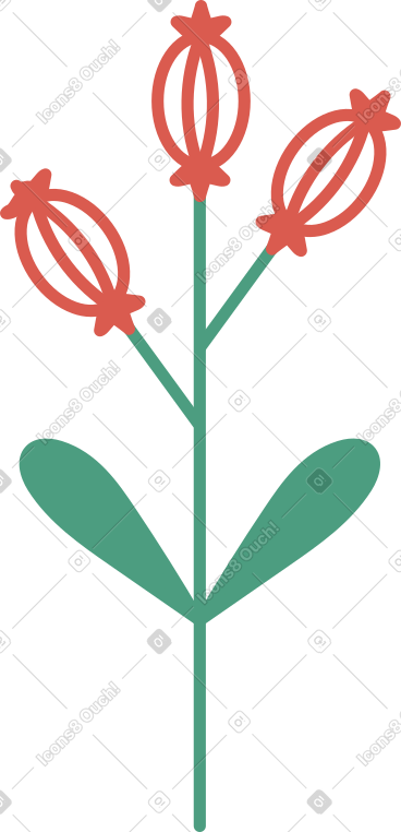 花 PNG, SVG