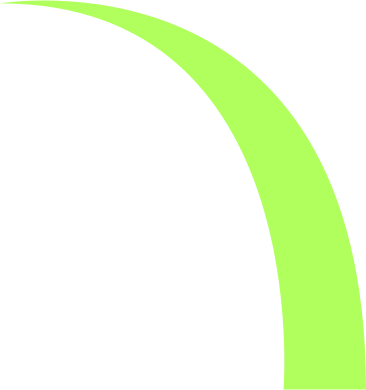 One leaf of green grass в PNG, SVG