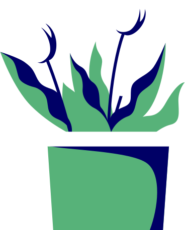 flowers in a pot PNG, SVG