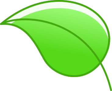 Tree leaf PNG, SVG