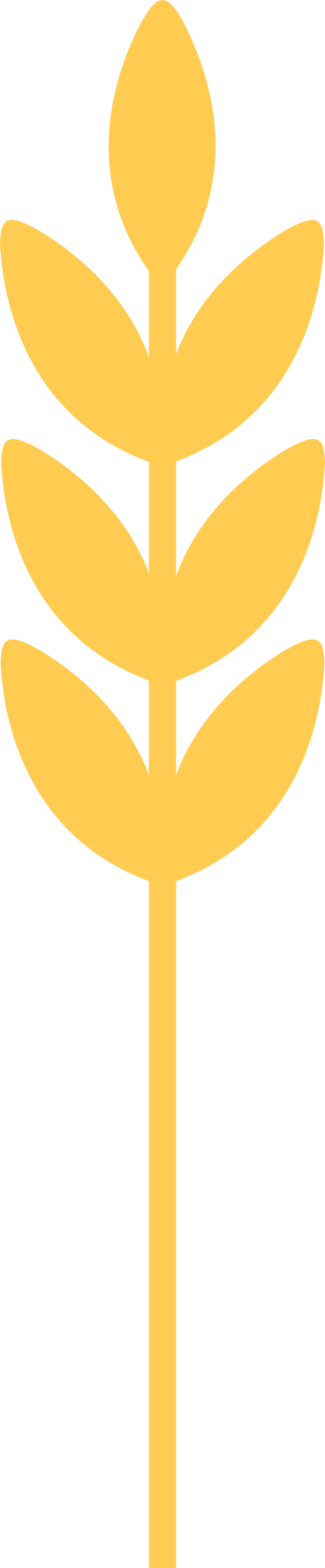Растение в PNG, SVG