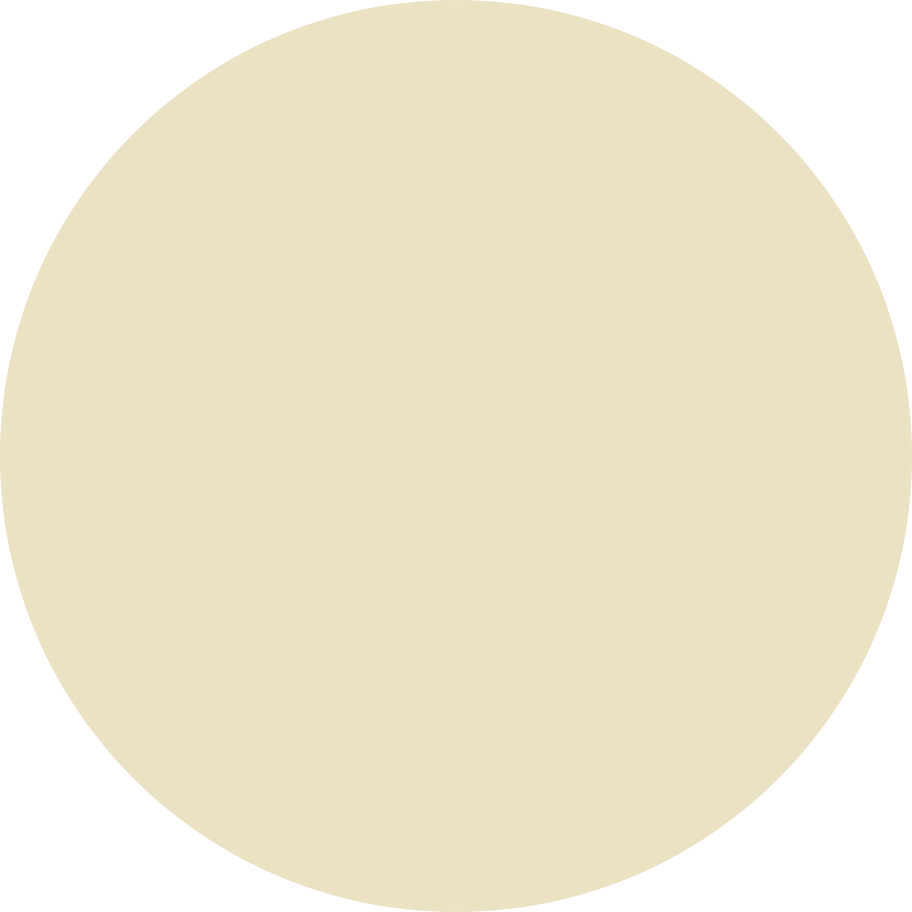 Beige Circle Illustration In Png Svg