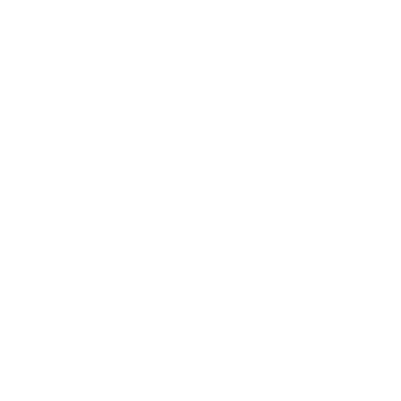 White octagon PNG、SVG