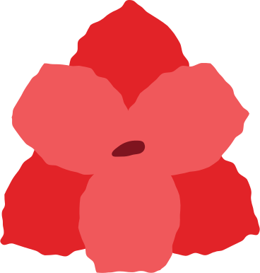 Flor de hippeastrum PNG, SVG