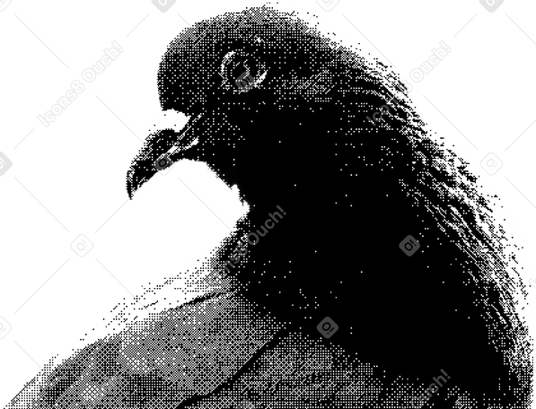 鸽子 PNG, SVG