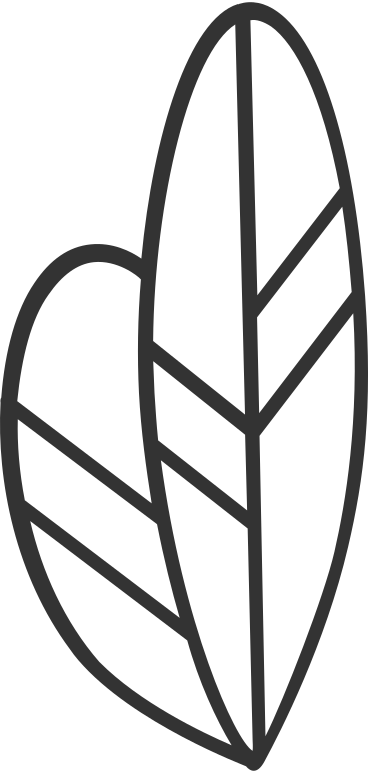 Two oval vein black outline leaves в PNG, SVG