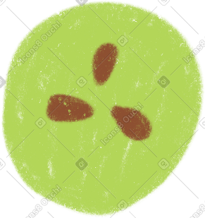 Grape half PNG, SVG