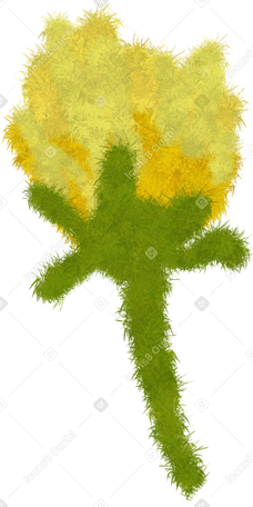 fluffy yellow flower PNG, SVG