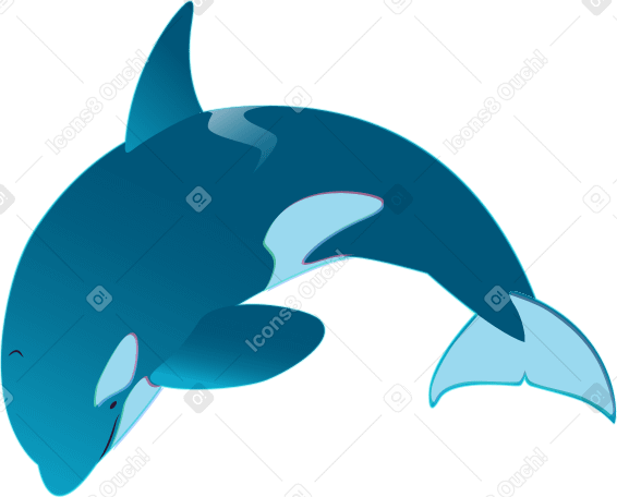 baleia assassina saltando PNG, SVG
