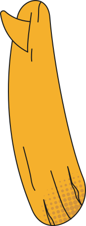 surfboard Illustration in PNG, SVG