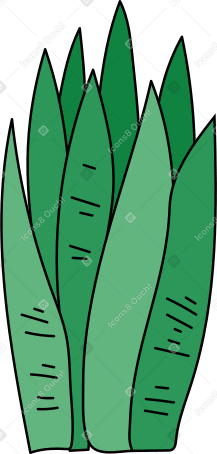 home plant Illustration in PNG, SVG