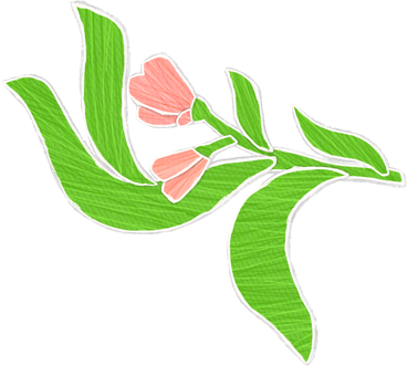 pink buds on a branch with green leaves PNG, SVG