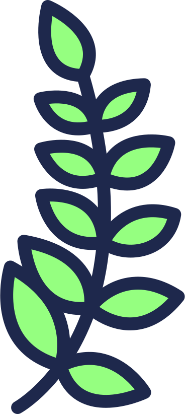 twig with leaves PNG, SVG