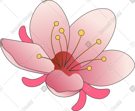 梅花 PNG, SVG