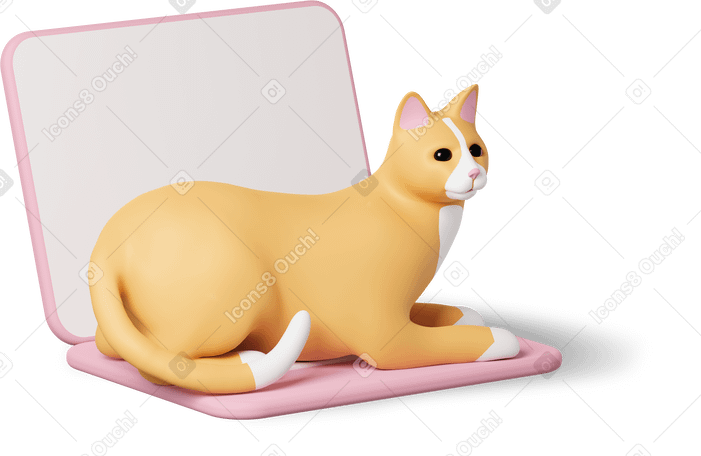 3D cat on laptop Illustration in PNG, SVG