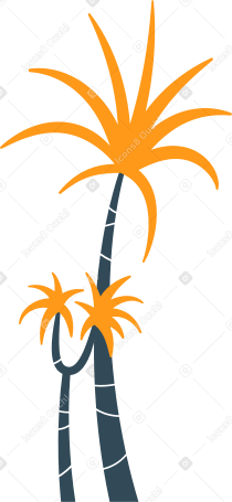 palmeiras PNG, SVG