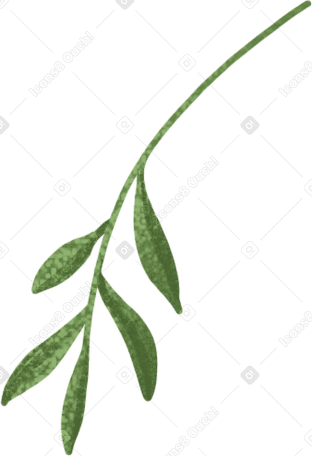 small light green twig with leaves PNG, SVG