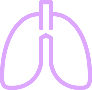 purple linear lungs PNG, SVG