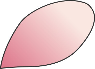 petal PNG, SVG