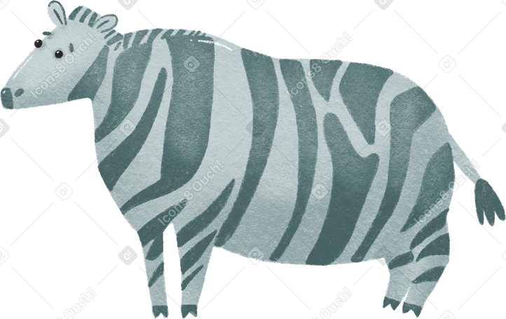 зебра в PNG, SVG