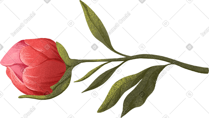 medium sized red bud PNG, SVG