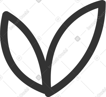 Two leaves with black outline PNG, SVG