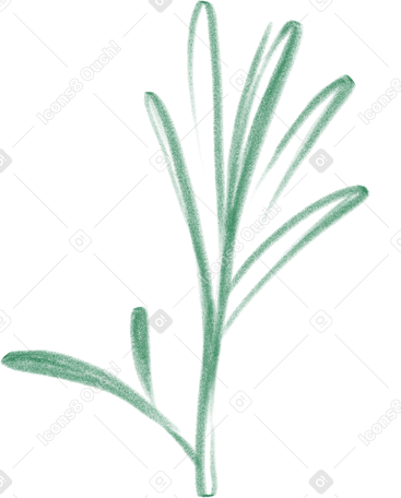 rosemary sprig в PNG, SVG
