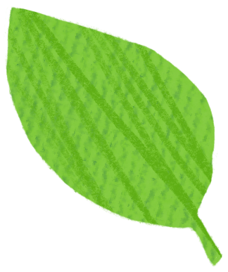 green leaf PNG, SVG
