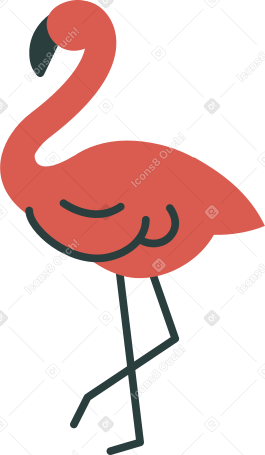 flamingo Illustration in PNG, SVG