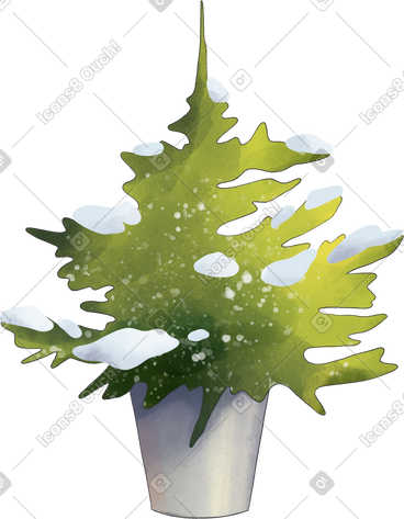 桶里的雪树 PNG, SVG