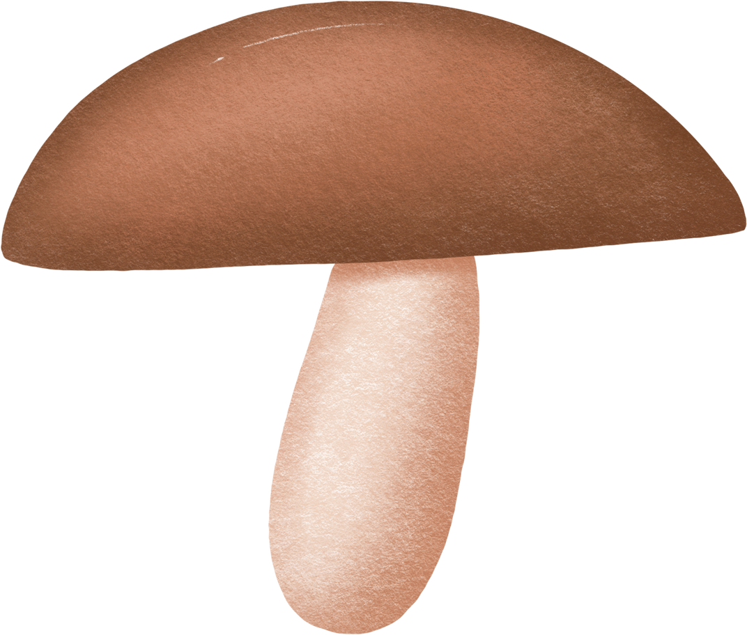 Ilustração de Cogumelo em PNG e SVG