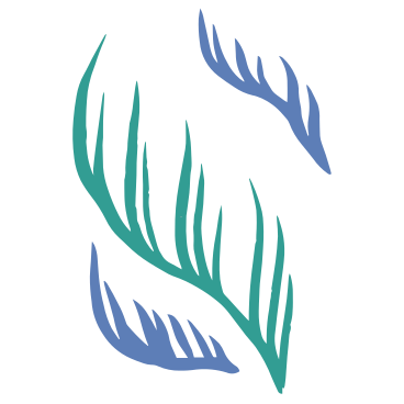 three algae PNG, SVG