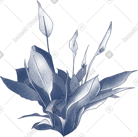 flowers PNG, SVG