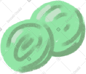 Green cabbage PNG, SVG