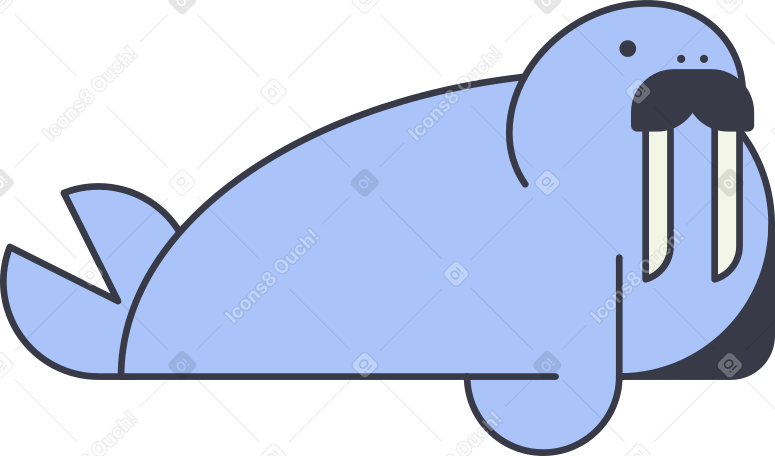 walrus Illustration in PNG, SVG