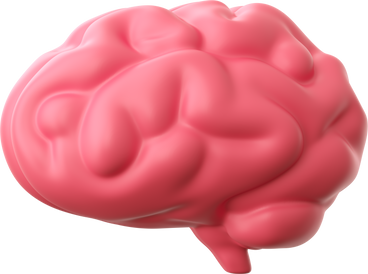 pink brain PNG, SVG