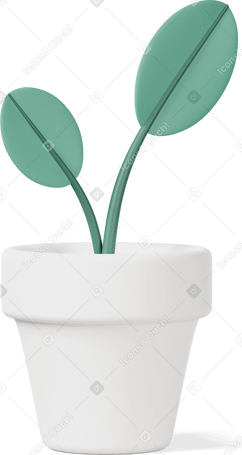 3D white pot with green leaves PNG, SVG