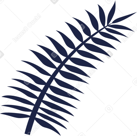 ligne de feuille de palmier PNG, SVG