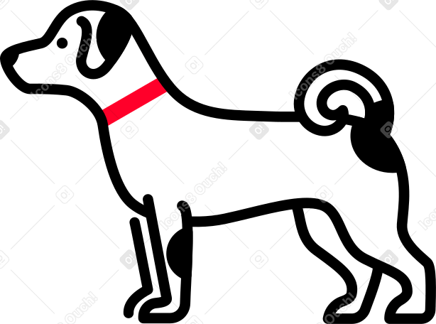 dog jack russell Illustration in PNG, SVG