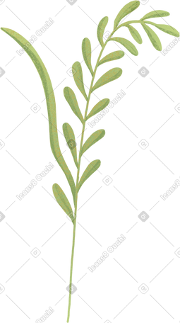 little green spikelet PNG, SVG