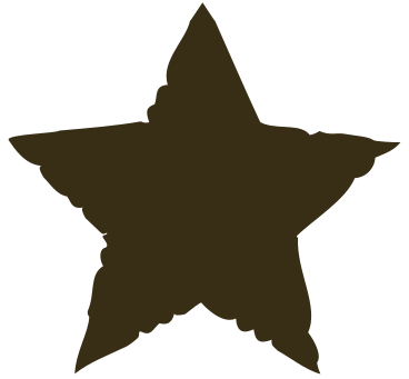 Brown star PNG、SVG