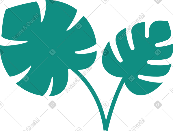 tropical leaves PNG, SVG