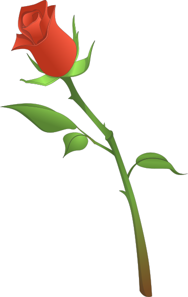single rose PNG, SVG