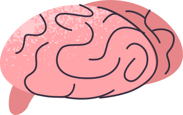 Головной мозг в PNG, SVG