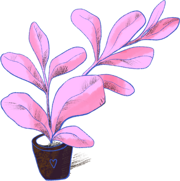 Indoor pink flower в PNG, SVG