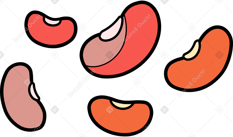 beans Illustration in PNG, SVG