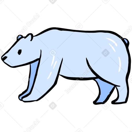 Полярный медведь в PNG, SVG